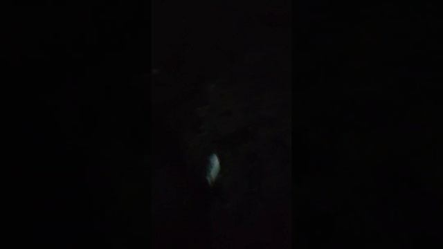 что я буду делать на данные 2 недели смотреть онлайн