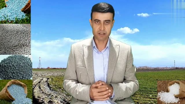 KOMPLEKS O‘G‘ITLAR: AMMAFOS, NPK, NITROFOSKA, KALIYLI SELITRA.. 119-son. СУЮҚ КОМПЛЕКС УГИТЛАР смотреть онлайн