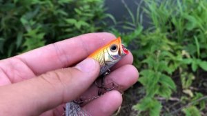 ЖЕРЕХ НА ХЛЮПИКА | УОКЕРЫ И ПОППЕРЫ ДЛЯ ЖЕРЕХОВОЙ ЛОВЛИ