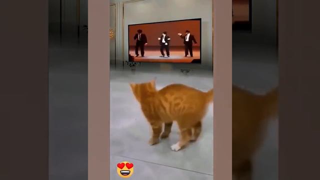 1000002285.mp4 смотреть онлайн