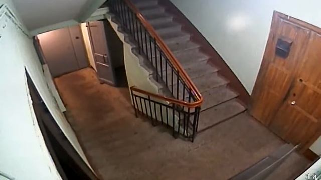 проветривание квартиры в парадную смотреть онлайн