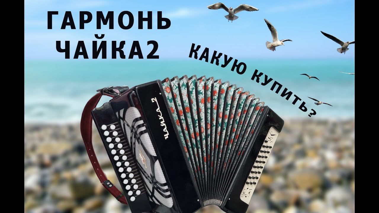 Гармонь Чайка2. Какую купить? смотреть онлайн