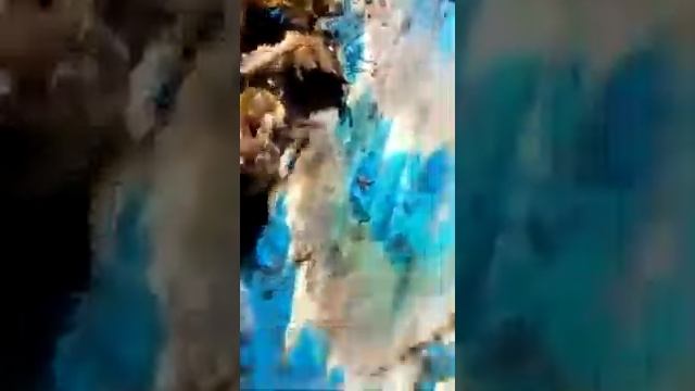 Массово погибли пчелы в Аургазинском районе д Мурадымово