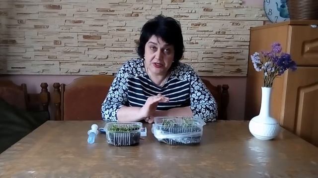 Профилактика "черной ножки" на рассаде цветов и овощей. смотреть онлайн