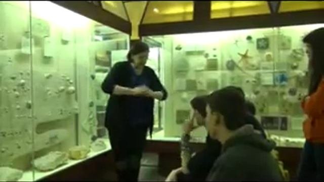 лекция Е М  Тесаковой   брахиоподы, иглокожие