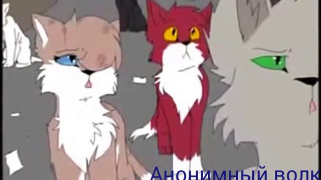 Коты воители - я видел страх в чужих глазах