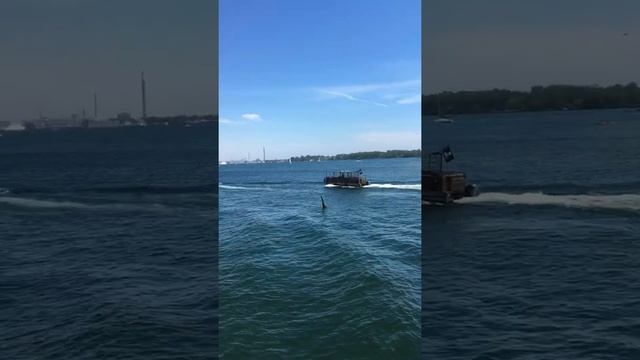 Toronto Island water Taxi