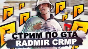 СТРИМ RADMIR CRMP БУДНИ ПЕРЕКУПА КРМП РАДМИР 12