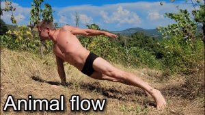 Animal flow yoga without words