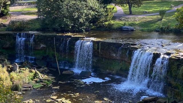 Стих: можем быть довольны? смотреть онлайн