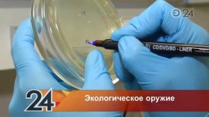 Казанские ученые обнаружили бактерии, очищающие загрязненную среду