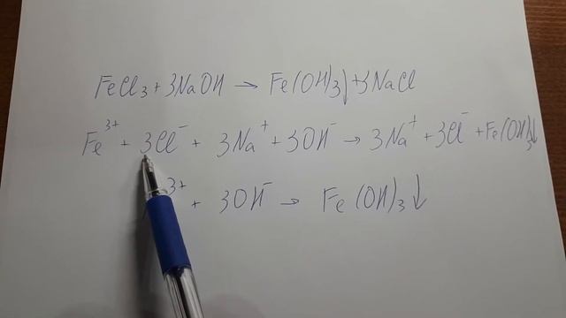 Химия. Молекулярные и ионные уравнения