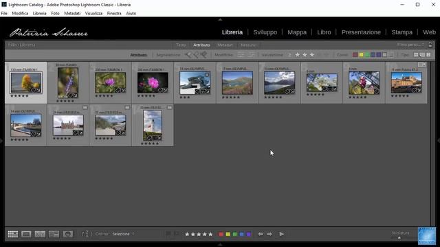 Lightroom Classic CC 2018 - I filtri Attributo e Testo смотреть онлайн