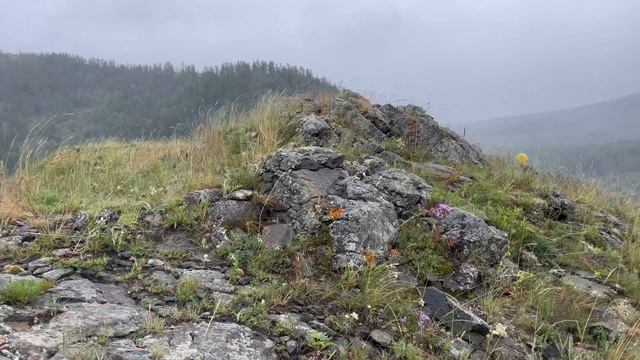 Хребет Нурали смотреть онлайн