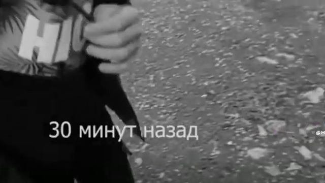 стрессоустойчивый