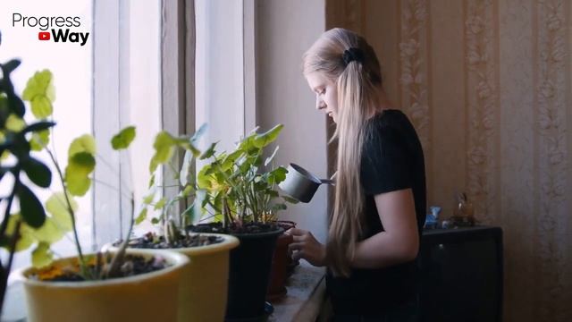 От Этих Подкормок Денежное Дерево В Миг Зацветает 100% Чем Подкормить Денежное Дерево?! смотреть онлайн