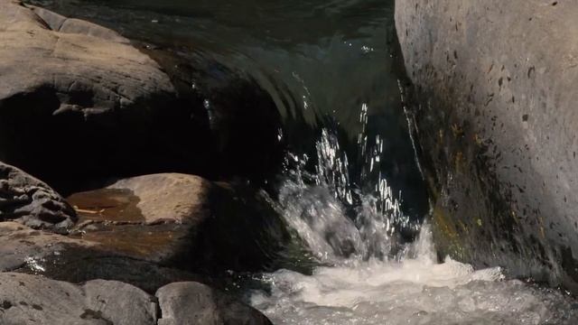 Sleep, Meditation, Relax | Music of Nature смотреть онлайн