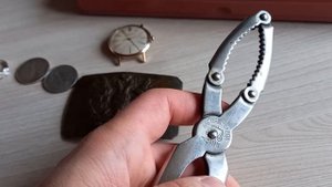 Редкий орехокол СССР