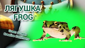 Лягушка Green Screen видео футаж. Хромакей анимация лягушка на зелёном фоне.