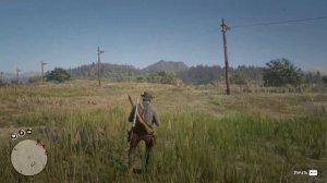 Топ лошадей в Red Dead Redemption 2!