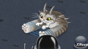 Как поёт котолизатор