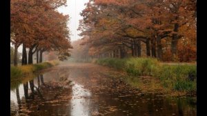 Rain ( K Hensley) (Tribute to K. Hensley)