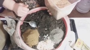 Как приготовить грунт для рассады в домашних условиях