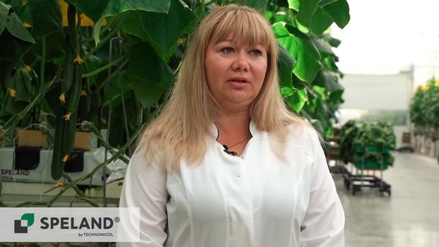 SPELAND. Отзыв клиента. АО «Тепличное» г. Екатеринбург смотреть онлайн