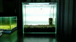 Донный фильтр для аквариума с аэролифтом/Aquarium bottom filter with aerial lift