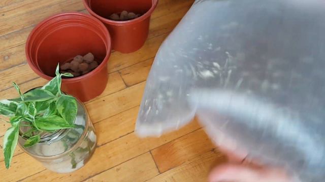 Siz gullarni kanday ekishi va parvarishlashni bilasizi??? Bilib quygan yahshi. смотреть онлайн