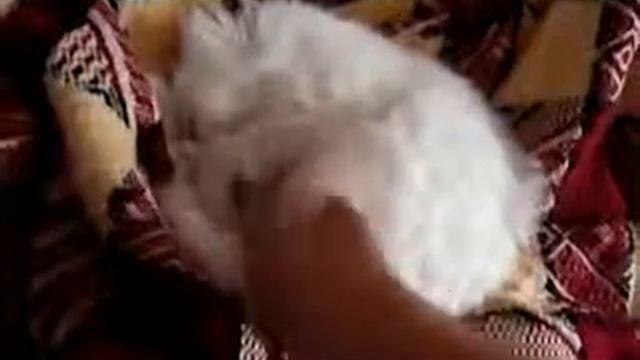 Вот что значит крепкий сон смотреть онлайн