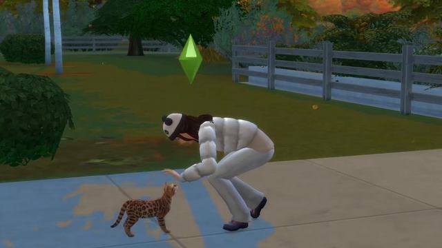 Как приютить кошку в Симс 4 смотреть онлайн