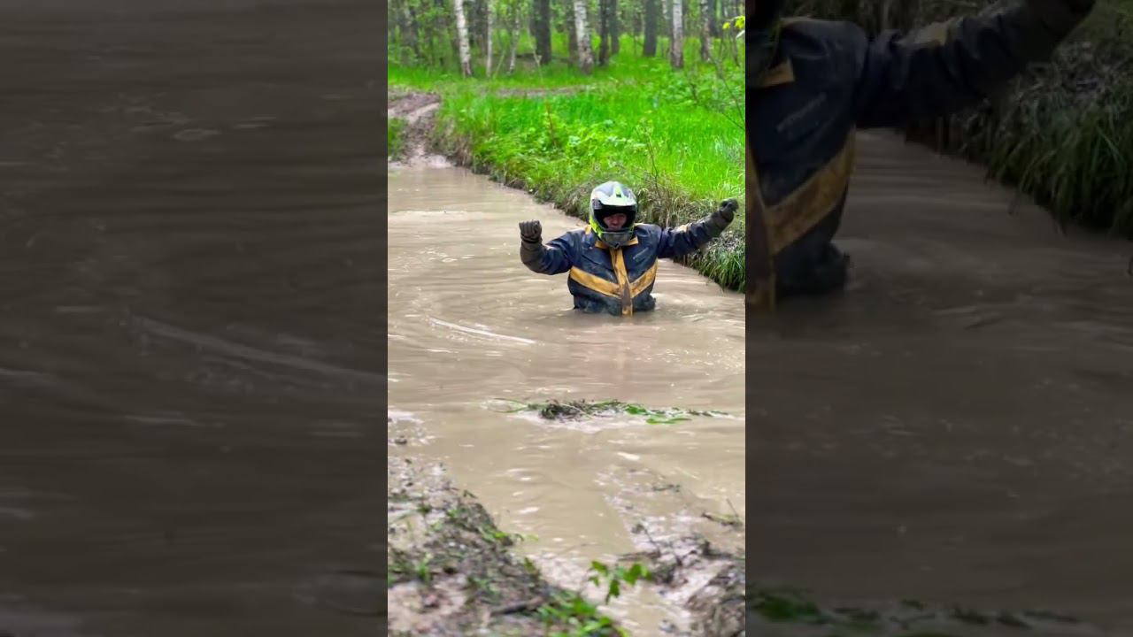 Танцор болотный ♂️ смотреть онлайн