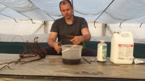 Опыт использования гидрогеля при посадке саженцев земляники и винограда