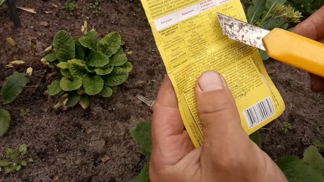 Почему пропадают примулы. Часть 2 смотреть онлайн