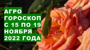 Агрогороскоп с 15 по 19 ноября 2022 года