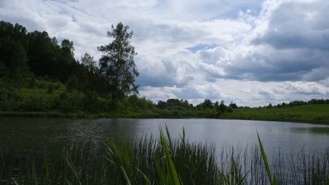 Лес, Кара-Чумыш, ветер вдоль берега, Fujifilm X-T30 video test. смотреть онлайн