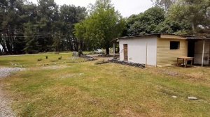 Гостевой дом Радуга, обзор территории, номера, дорога до пляжа. Цитрусовый совхоз. Абхазия