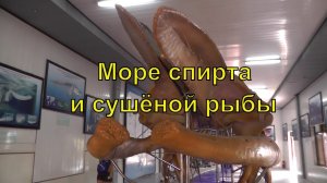 Океанографический музей (океанариум) Нячанга. Вьетнам.  Oceanographic Museum of Nha Trang