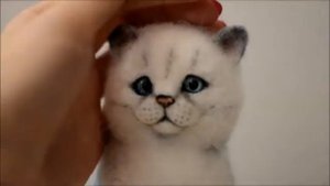 Кот серебристый британец сухое валяние