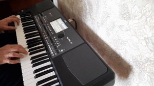 Korg Pa 300/600/900..1000. Три слова. Стиль.