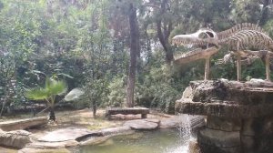 Динопарк Гейнюк Анталия - Места для посещения в Анталии Гейнюк