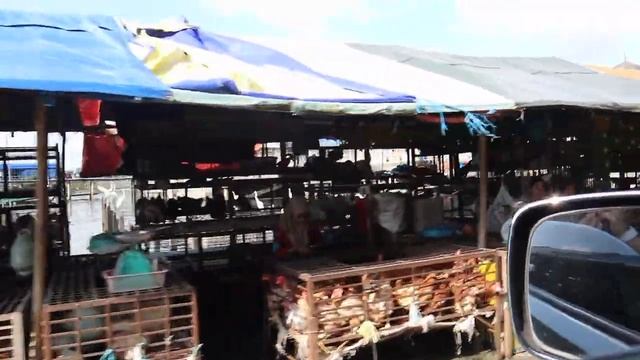 Journey to Lahad Datu смотреть онлайн