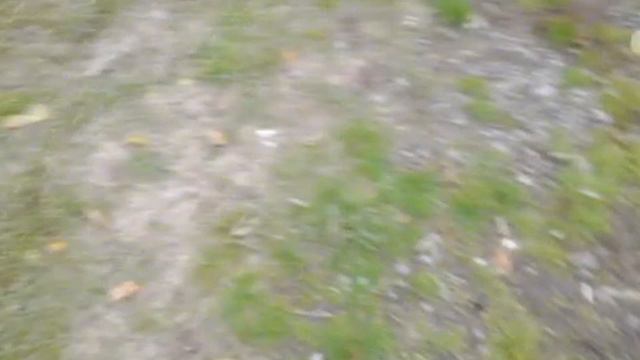 СКОРО ЗИМА!Но пока что добрая ОСЕНЬ. смотреть онлайн