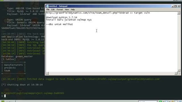 Cara menggunakan sqlmap di windows смотреть онлайн