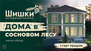 Новый коттеджный поселок Шишки - старт продаж в Самаре