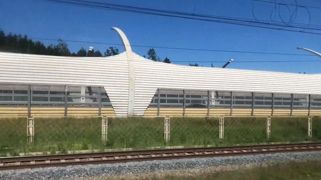 ПОЕЗДКА НА ФИНСКИЙ ЗАЛИВ НА ЭЛЕКТРИЧКЕ.ПИТЕР-ЛЮБИМЫЙ ГОРОД смотреть онлайн