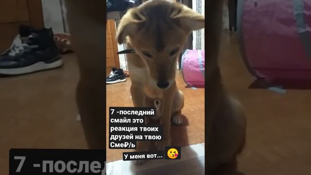 у меня  упало настроение каждую минуту хочется плакать ближайшие время  видео не будет извините...=