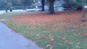 Walk through Regents Park in London