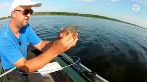 ЛЕЩ НА ЯЙЦА (КОЛЬЦО).Волга 2021 как поймать леща с лодки ловля леща на кольцо